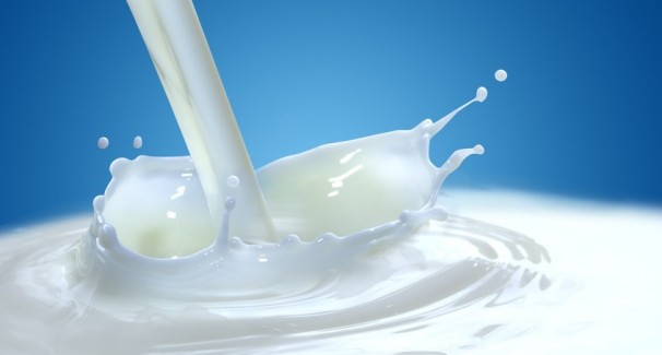 Nuove disposizioni per le dichiarazioni nel settore latte