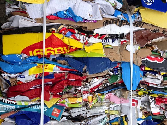 Linee Guida per interventi e opere nei siti regionali oggetto di ...