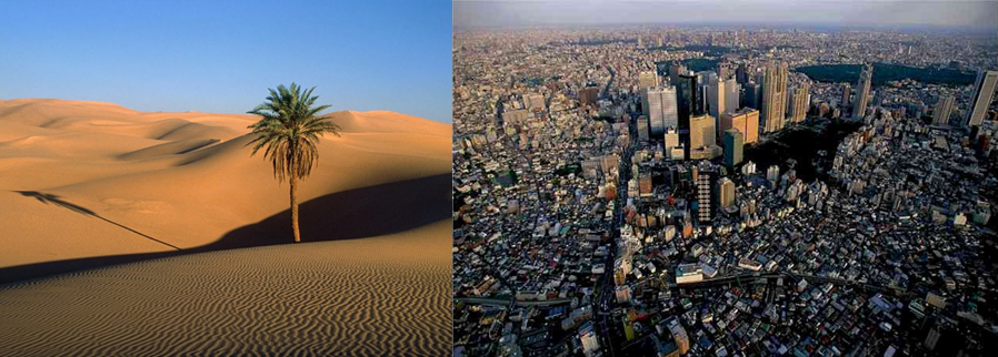 L'esposizione fa riferimento al contesto territoriale: un deserto e un agglomerato urbano