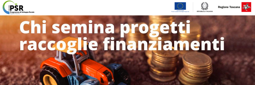 chi semina raccoglie