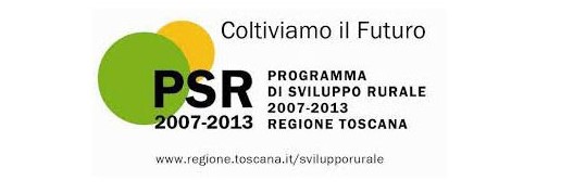 Programma sviluppo rurale banner