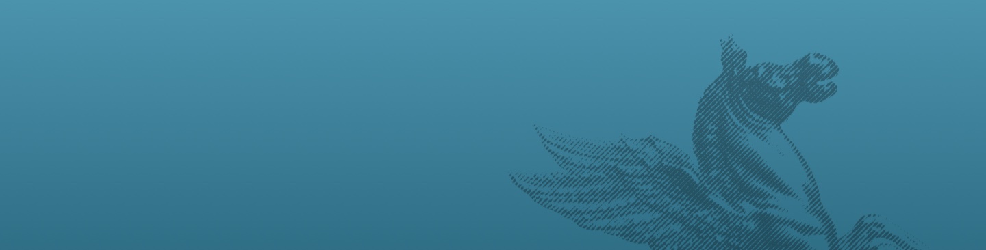 Banner Avvisi pubblici