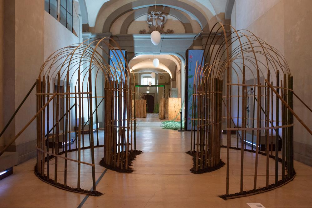 Progetto RIVA. Sinestesie