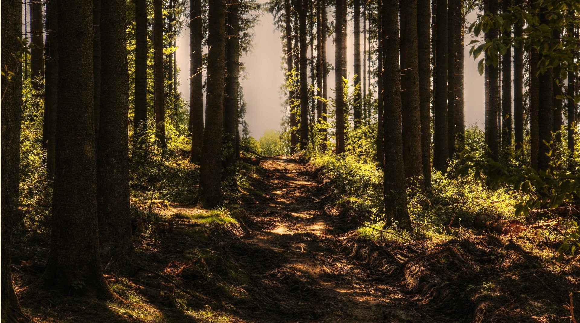  Aree Naturali Protette Nazionali (Parchi Nazionali – Riserve Statali)