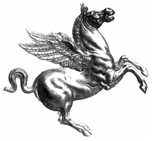 Contattare gli Organismi di Parità