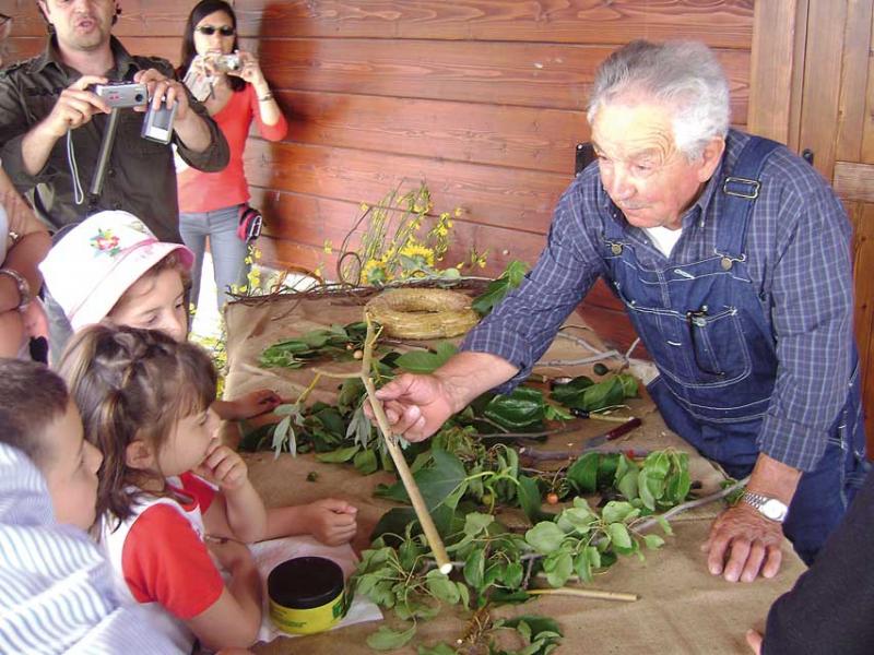 Aprire e gestire un agriturismo