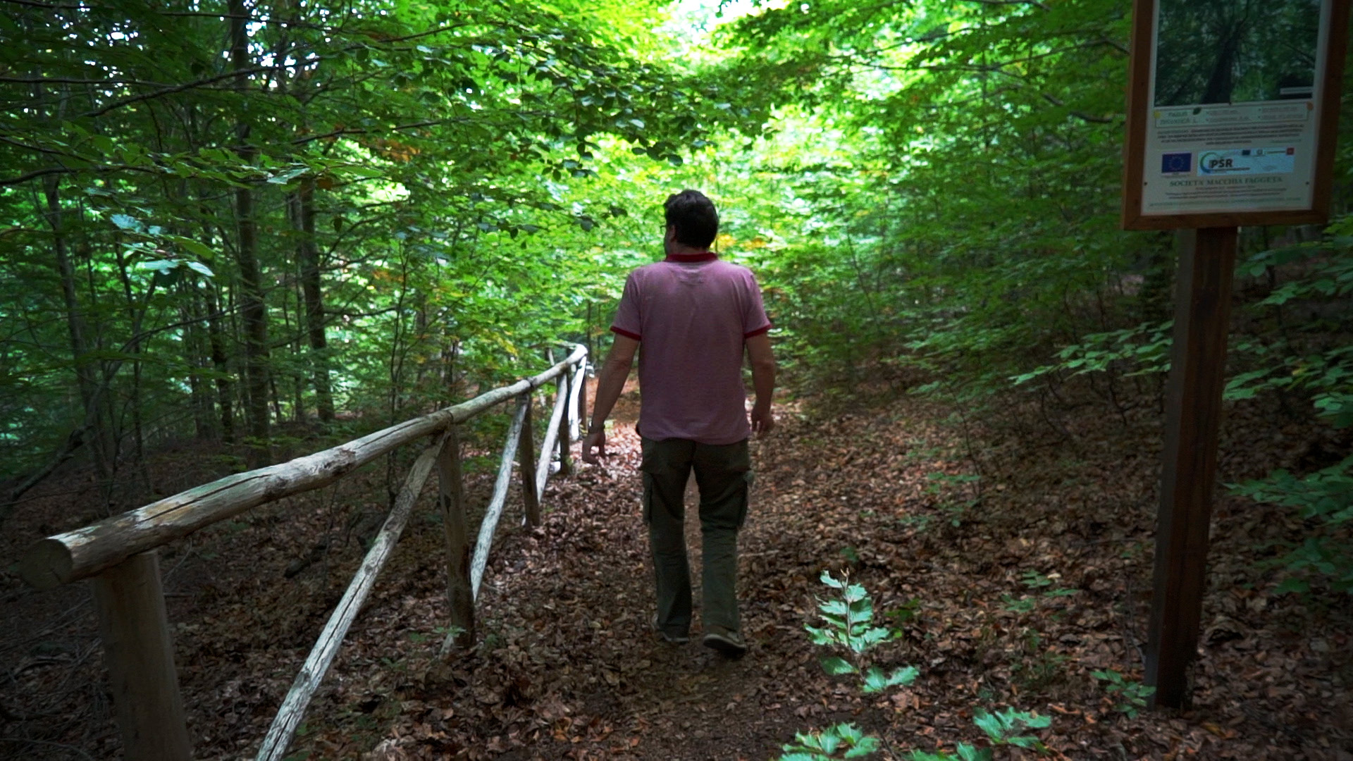 Nei boschi del Monte Amiata, il Psr Toscana ci dà un taglio