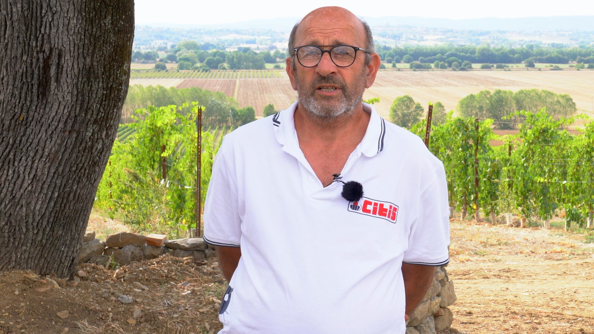 A Castiglion Fiorentino il sole bacia le vigne