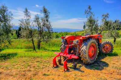 Organizzazioni di Produttori (OP)