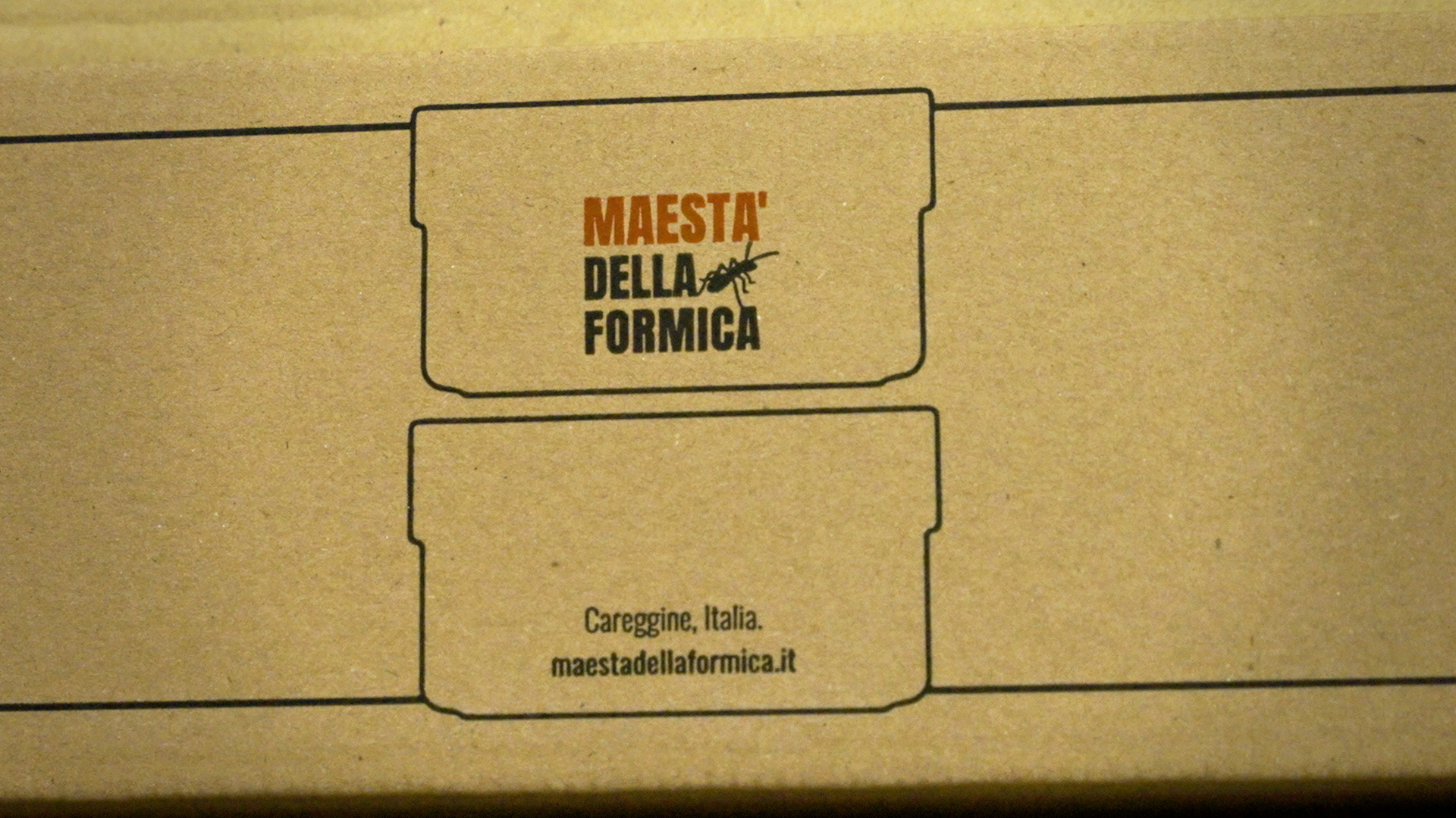 Frame-Maesta-della-Formica_07.jpg