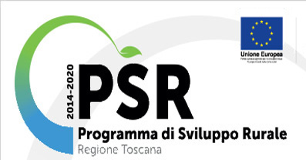 immagine articolo