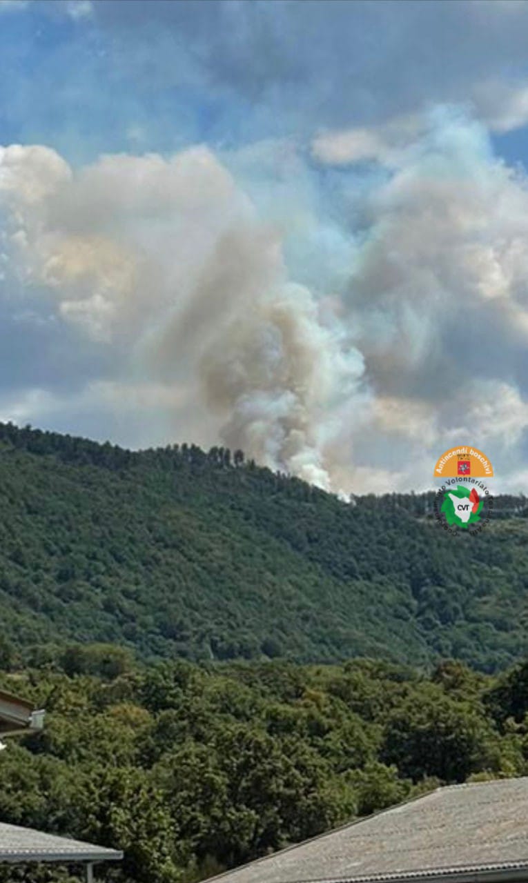 Incendio boschivo sul Monte Aquilaia, operazioni di spegnimento in corso