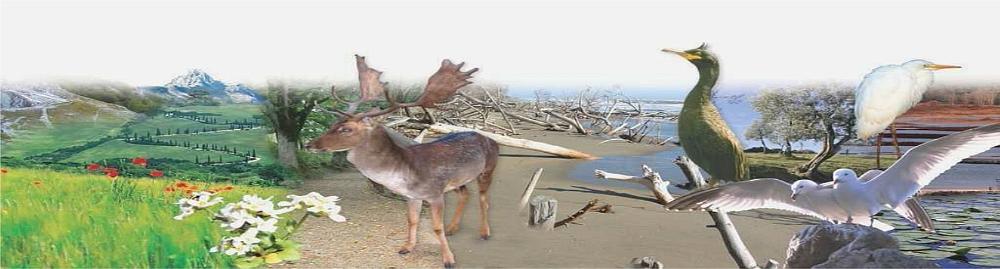 La natura non si ferma, gli eventi nei parchi toscani