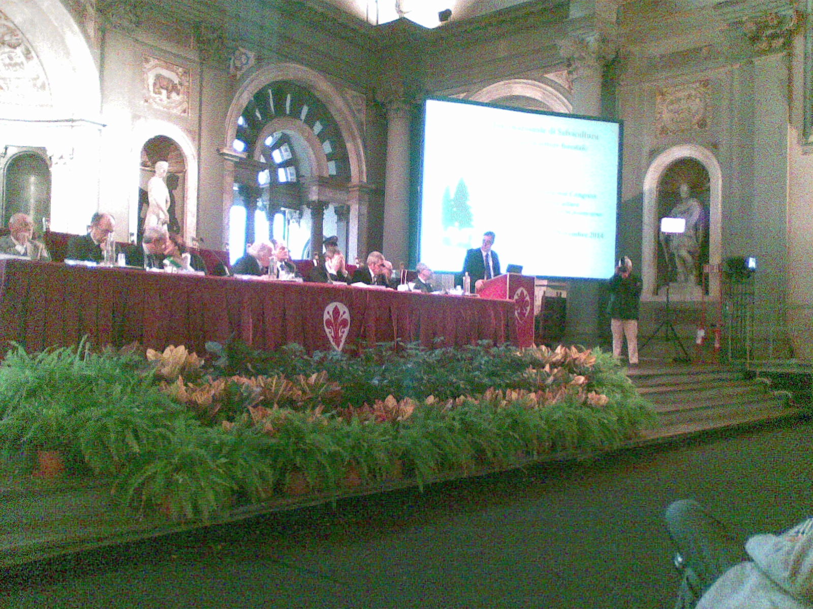 Selvicoltura, Salvadori: