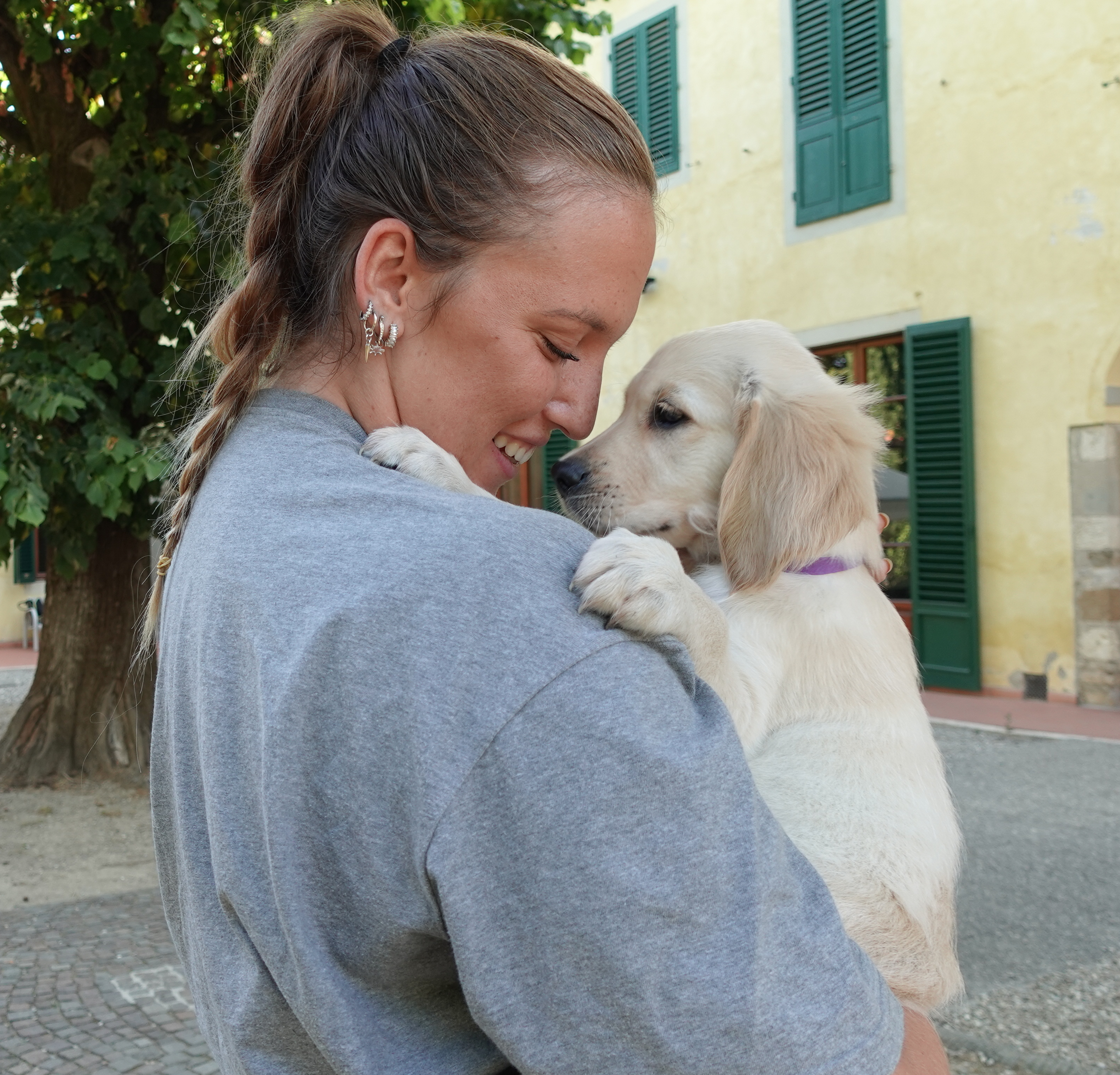 Si cercano famiglie affidatarie per futuri cani guida e segugi da allerta medica