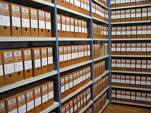Archivistica e bibliografia, Giani: