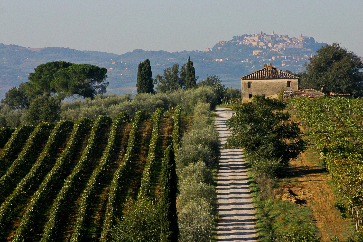Agroambiente e agricoltura sostenibile: bandi per 18 milioni di euro