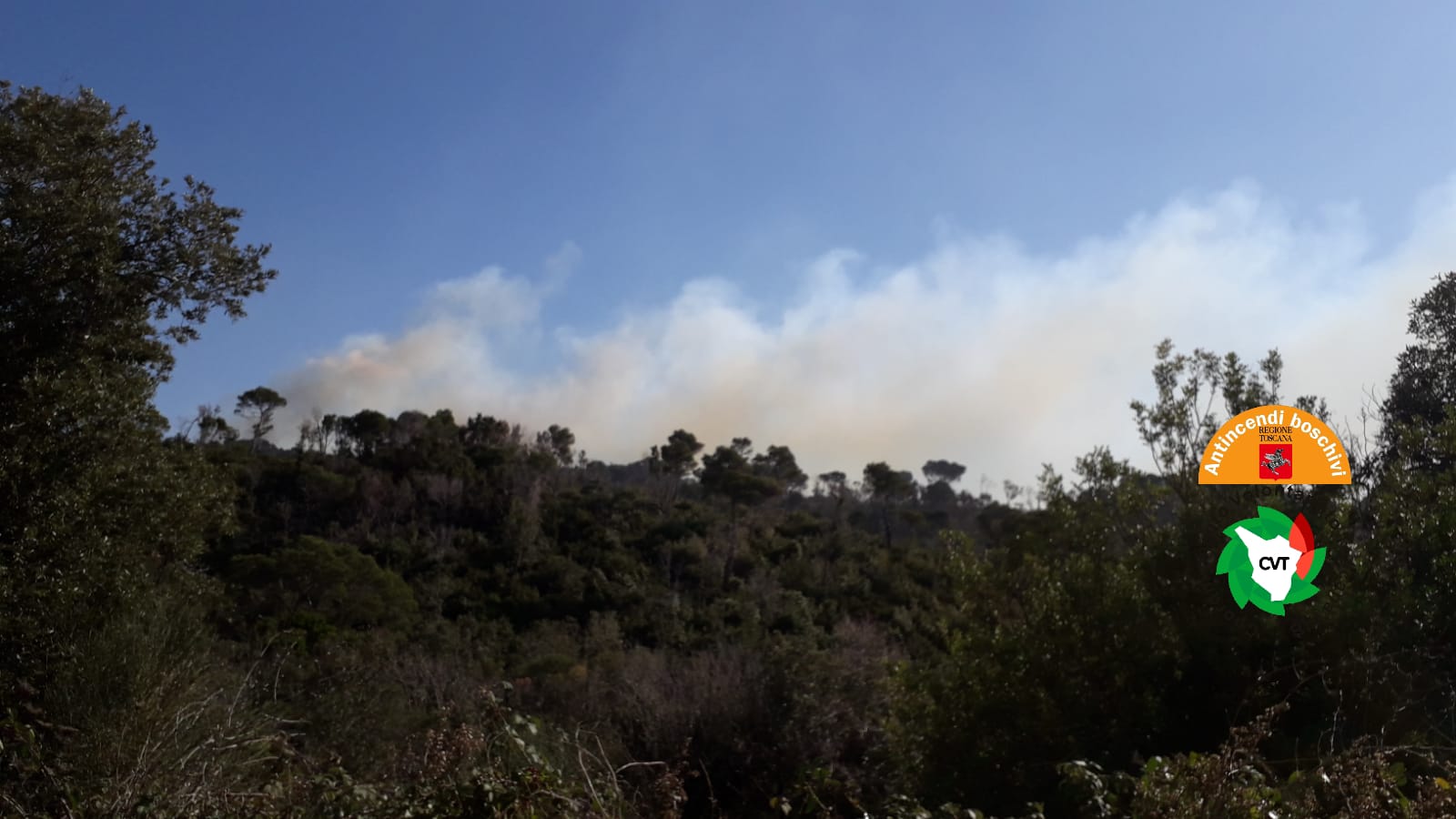 Incendio a Chioma di Rosignano: due gli elicotteri impegnati