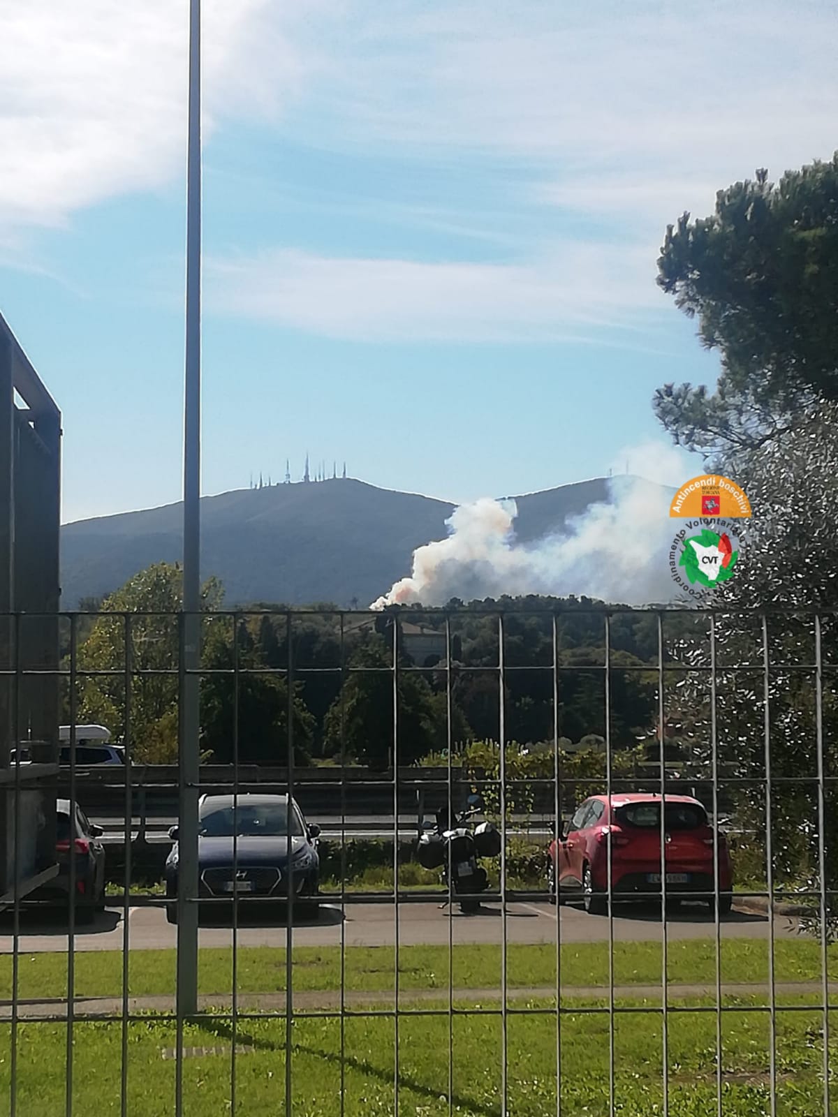 In fiamme una pineta a Sant'Andrea di Compito a Lucca 