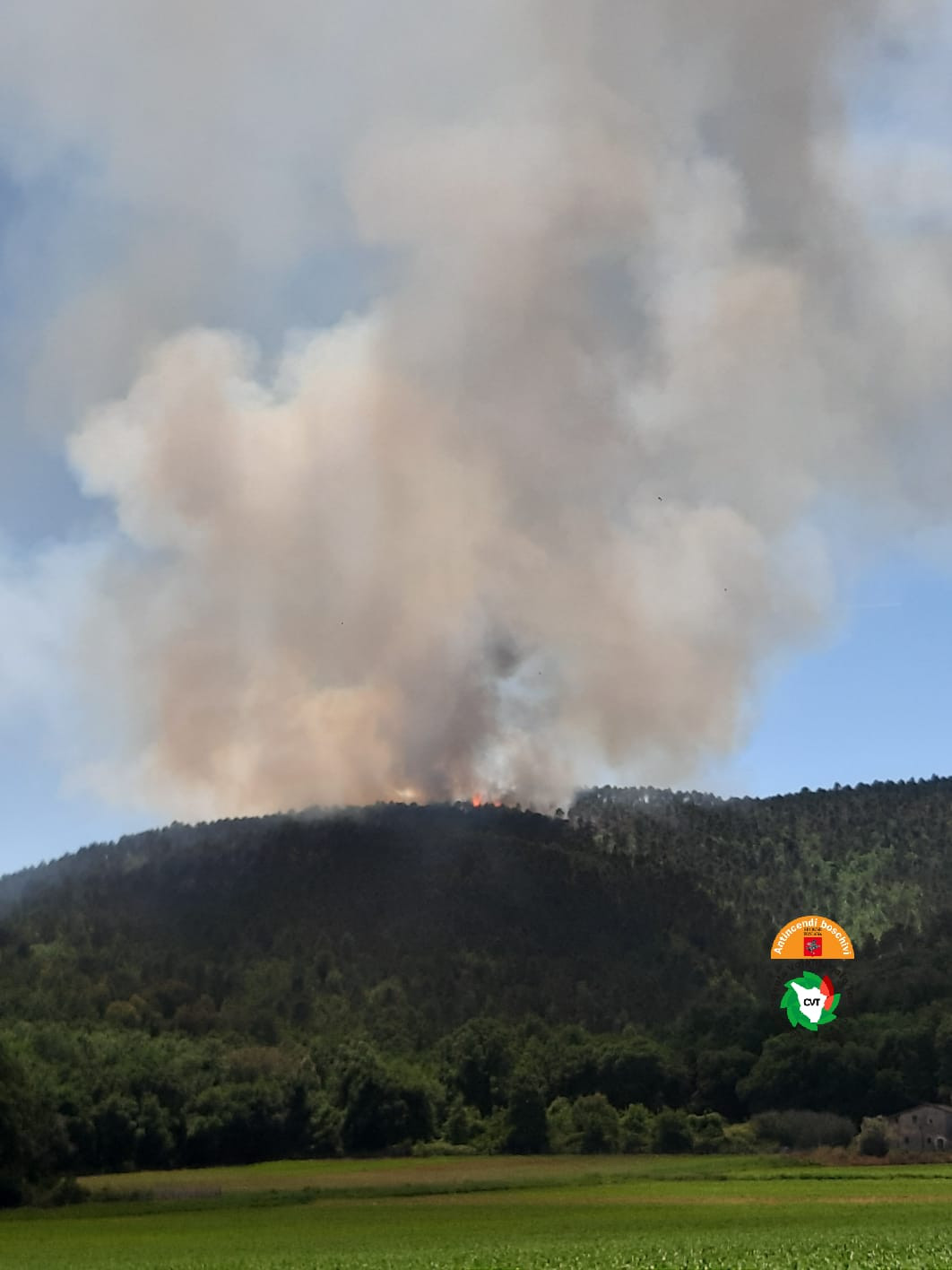 Incendio boschivo a San Lorenzo a Merse, Siena