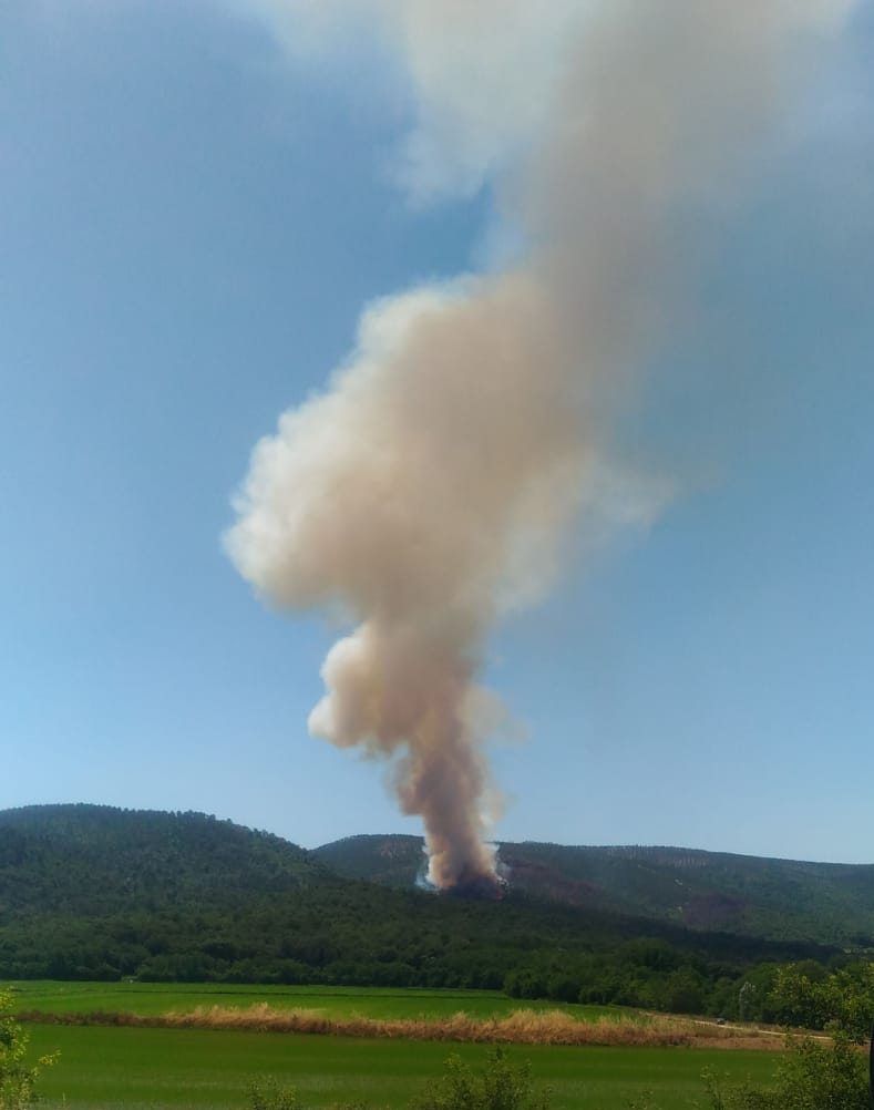 Incendio a Cerreto a Merse (Sovicille, Siena). In arrivo un Canadair