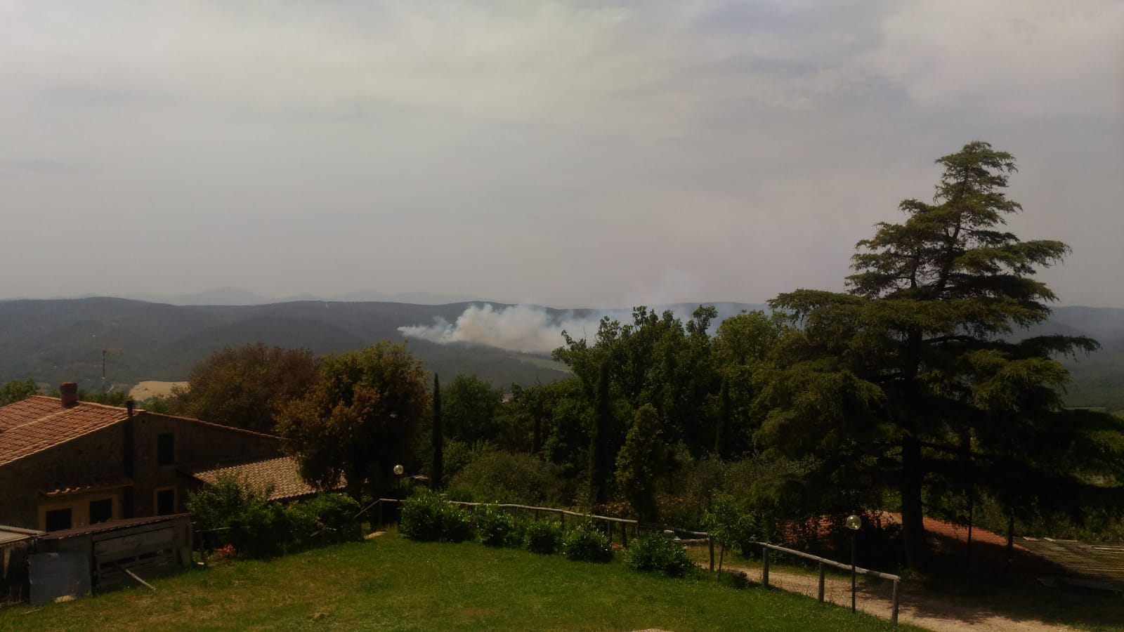 Nuovo incendio in una pineta a San Lorenzo a Merse nel Comune di Sovicille