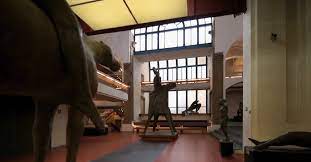 Museo Marini, lezioni sull'arte contemporanea