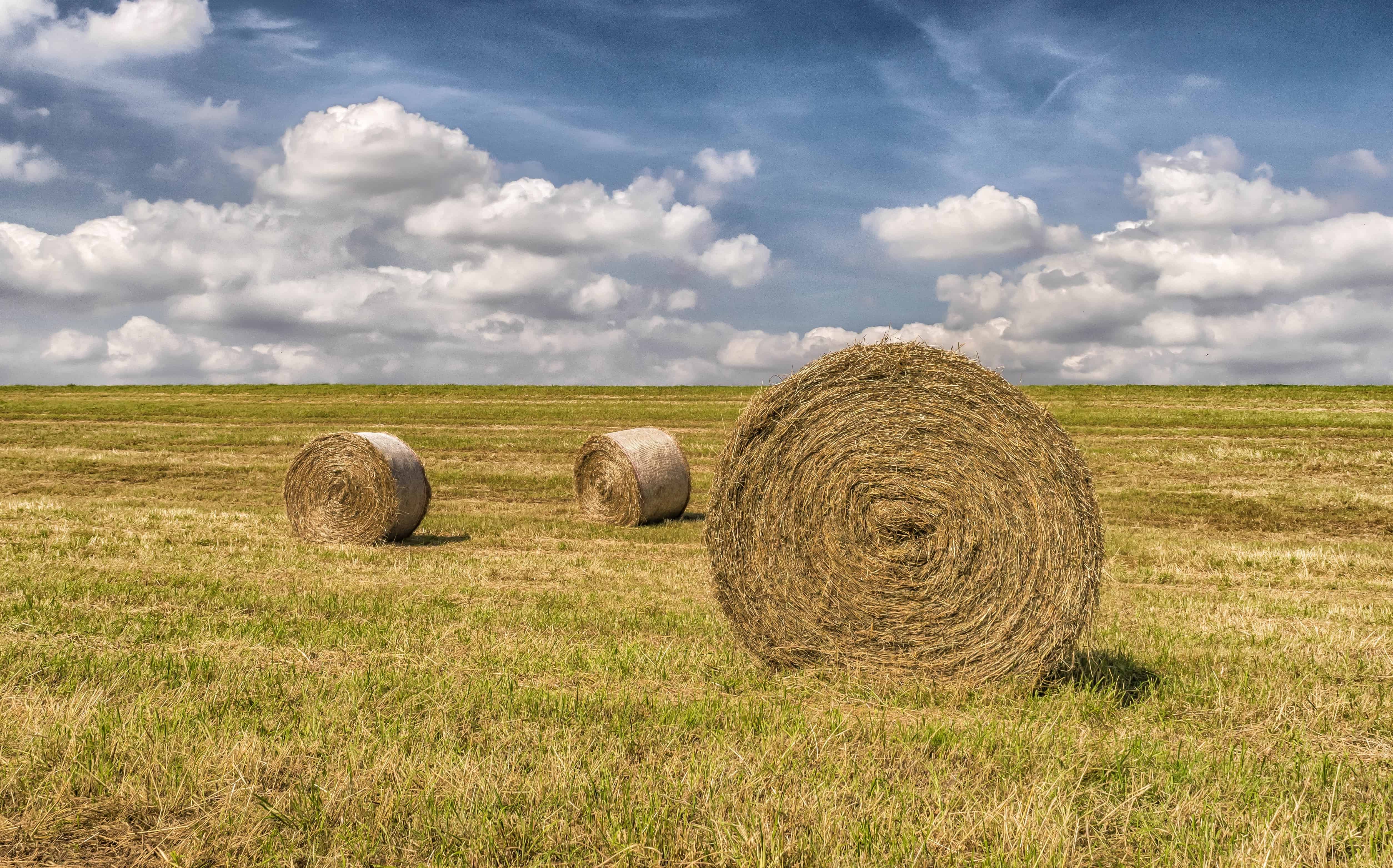 Agricoltura: nuove risorse dalla Regione per la promozione dei ...