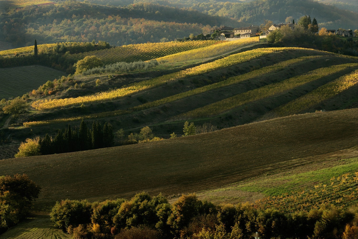 Paesaggio, avviato il percorso per inserire il Chianti Classico nel Patrimonio Unesco