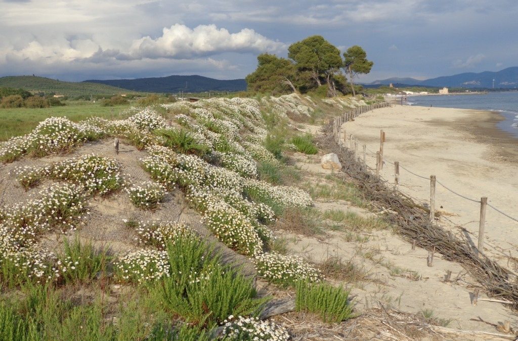 Parco della Sterpaia, con progetto Horizon rinasce sistema spiaggia-dune