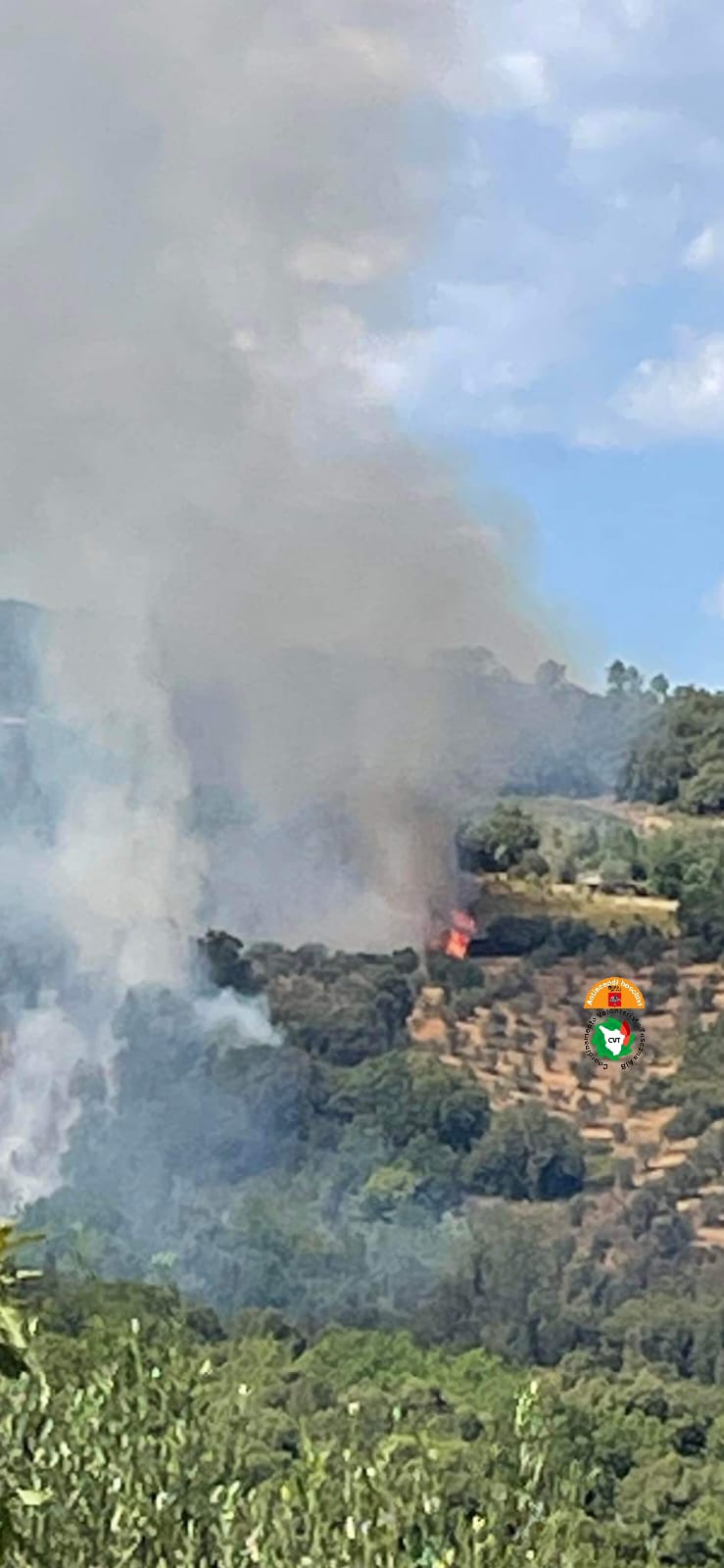 Incendio in località Il Terzo, nel comune di Roccastrada (GR)