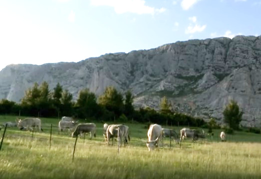 Aiuti per le aziende agricole in zone montane, da oggi il bando da 4,5 mln è online