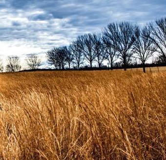 Agroalimentare, giovedì 5 aprile convegno a Rosignano con l'assessore Grieco