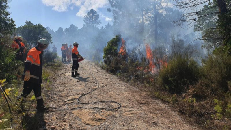 Dalla Svizzera a Monticiano per apprendere le tecniche di antincendio boschivo