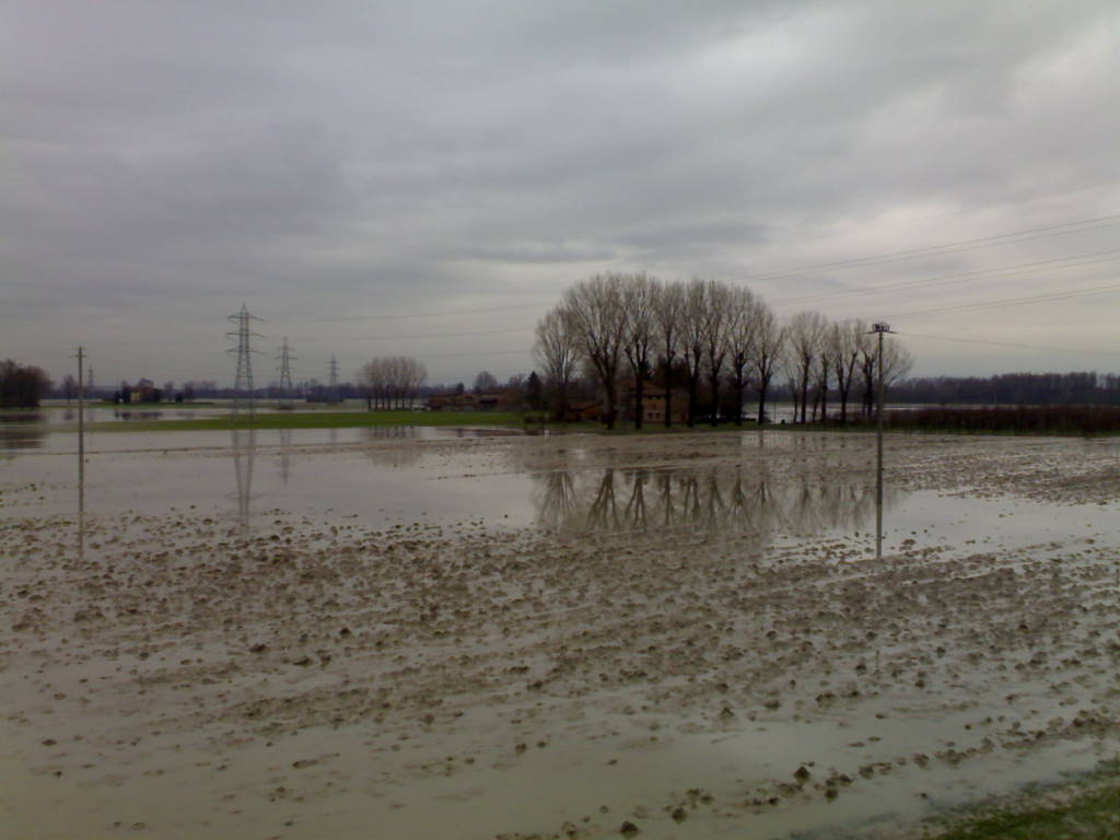 Danni da maltempo per imprese agricole, aperta scheda per chiedere r...