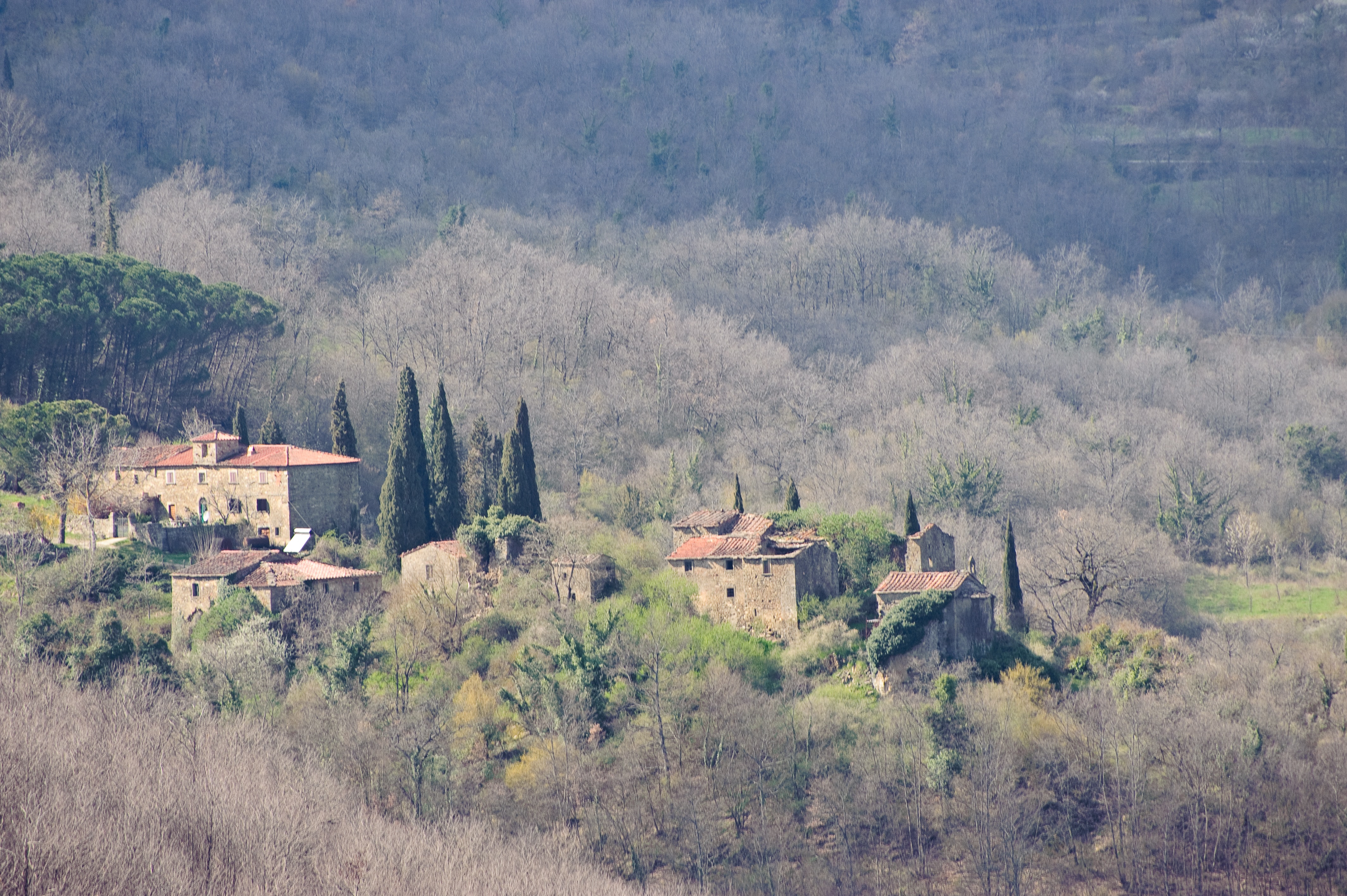 In arrivo indennità alle imprese agricole in aree montane e svantaggiate