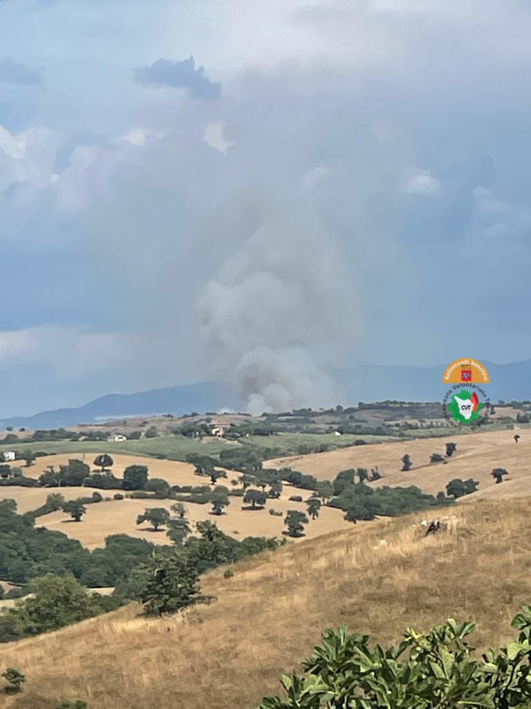 Incendio di vaste proporzioni a Campagnatico (Gr), mezzi aerei in azione