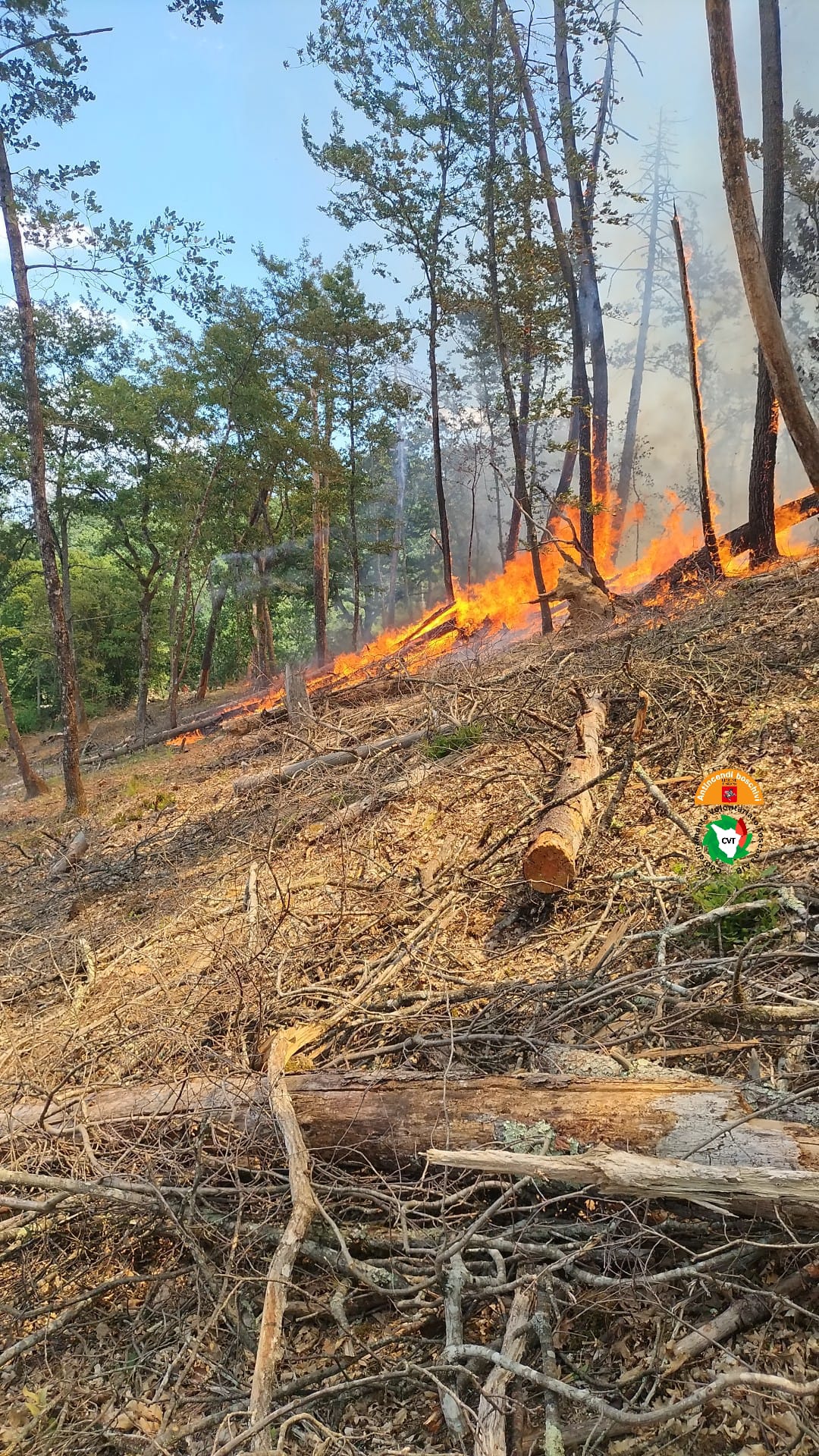 A fuoco un bosco a Campoforte di Lucignano (Ar) 