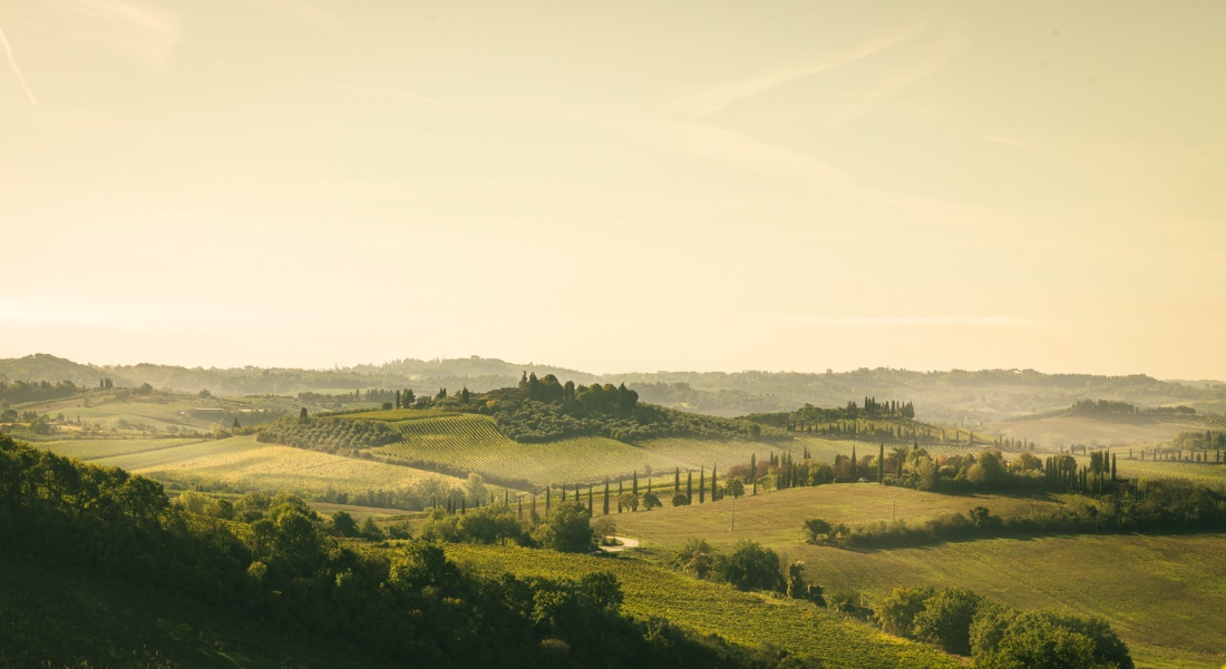 Ville-fattoria del Chianti Classico in Lista propositiva Patrimonio Mondiale Unesco