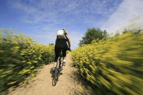 Ciclabile dei ‘Due mari’, si partirà con il tratto delle Crete senesi