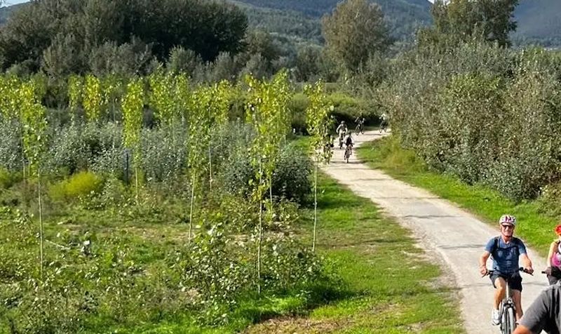 Oscar bicicletta, la Toscana ospita la IX edizione. Il 1 giugno a Lu...