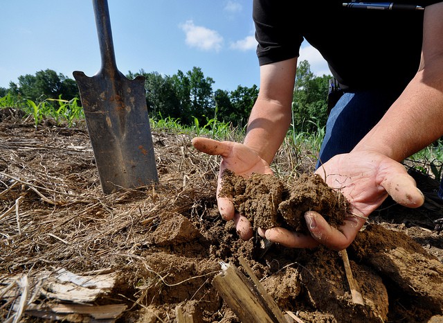 “Seminare sostenibilità”: il 21 e 22 giugno la quarta Conferenza regionale dell’agricoltura