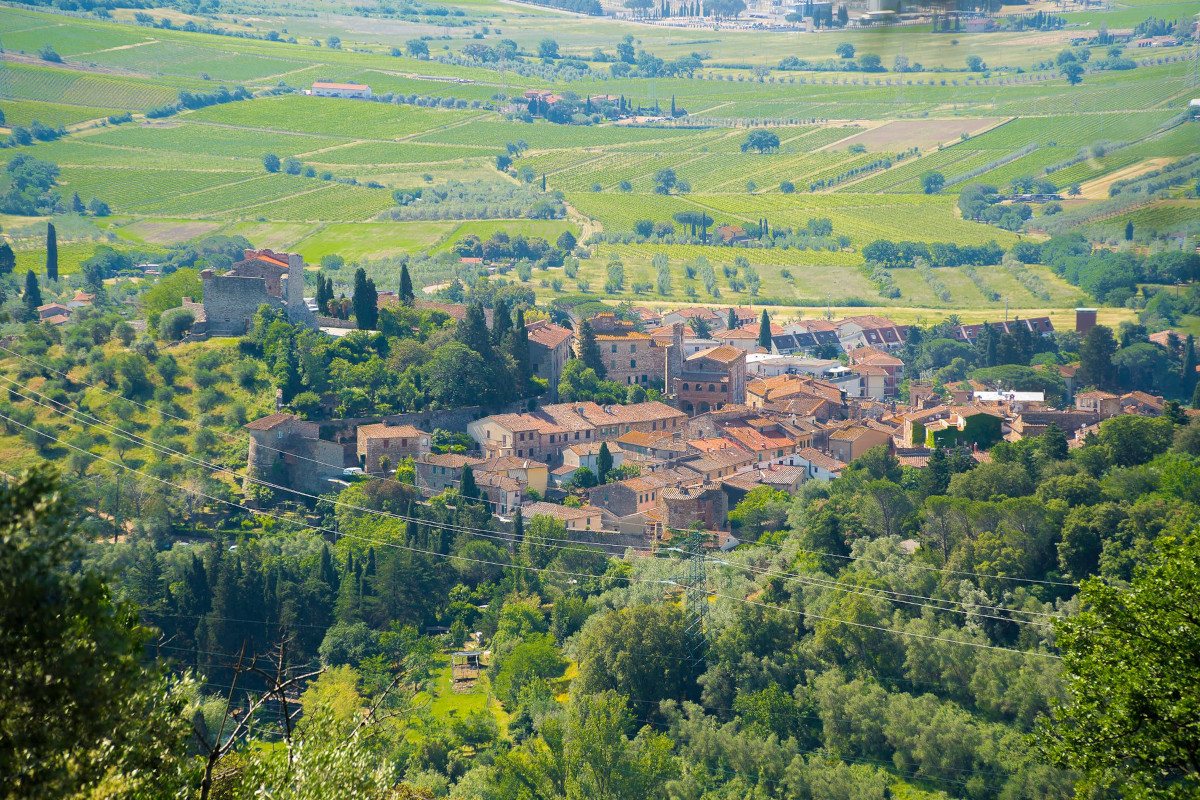 Agricoltura, il Ministero ha riconosciuto il 