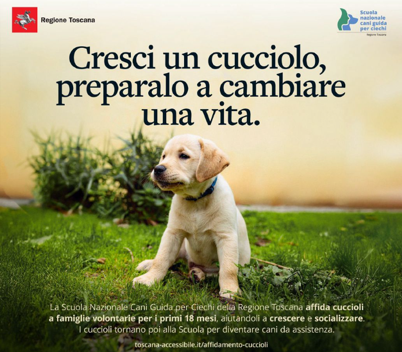 Cresci un cucciolo”: la Scuola cani guida lancia campagna per l’affidamento
