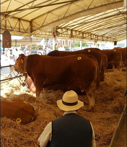 Fiera agricola mugellana, la presentazione lunedì 22 maggio alle ore 11