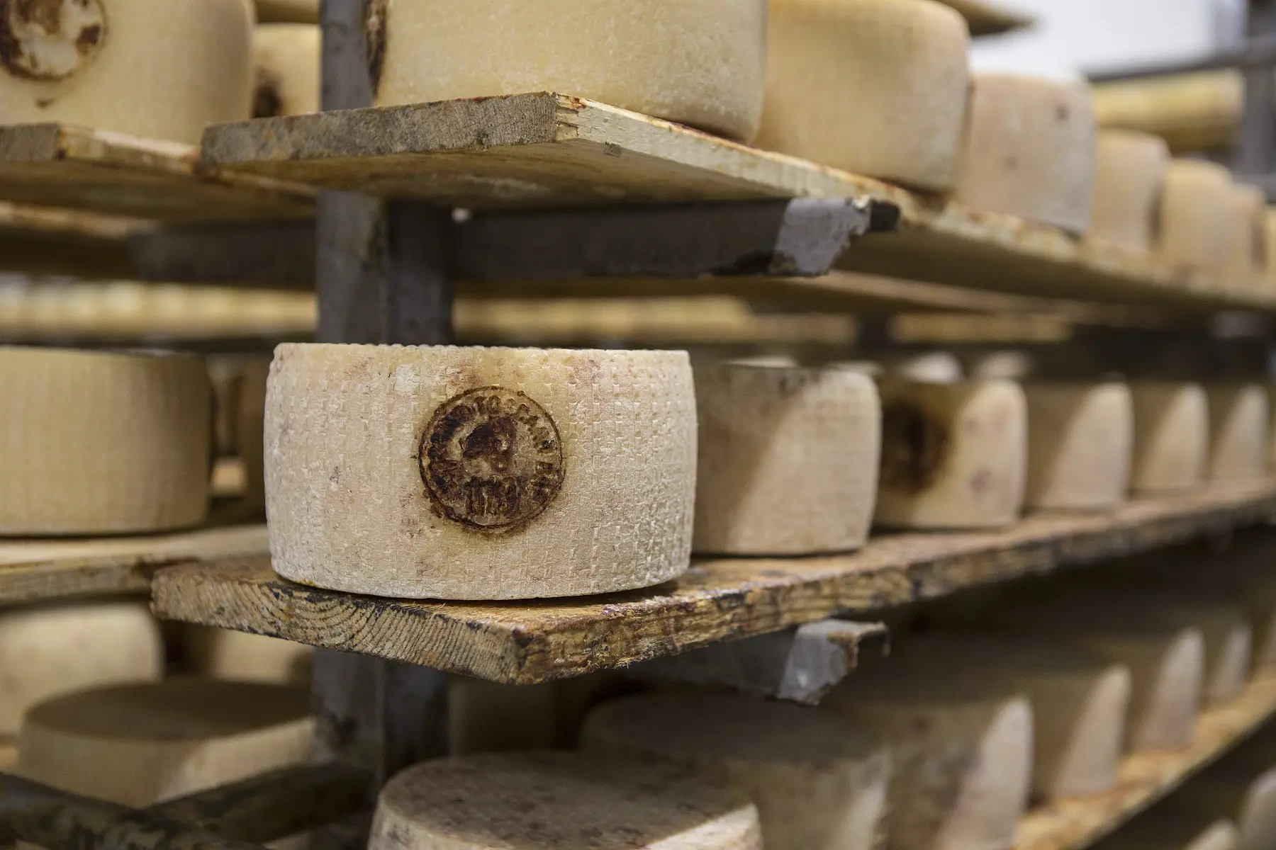 Misure Covid, 800mila euro di aiuti alle imprese di trasformazione del latte