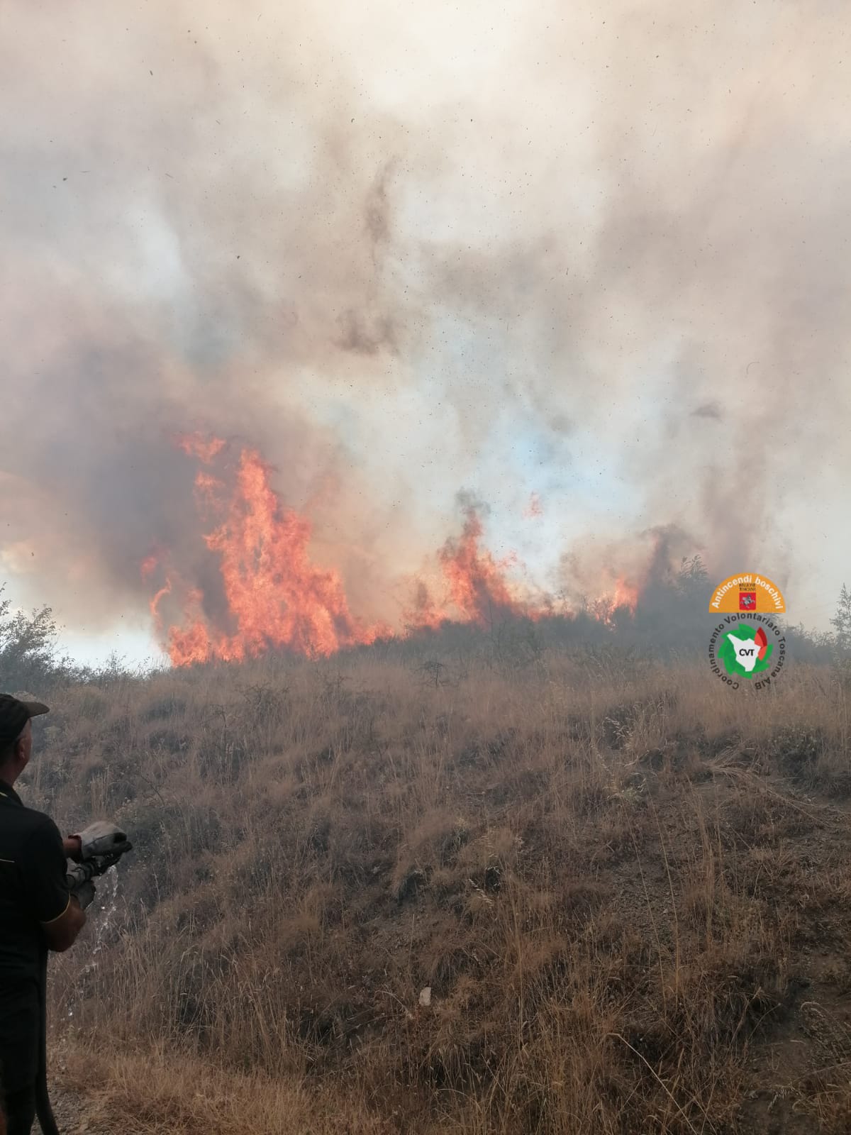 Incendio boschivo sul monte Aquilaia in corso di contenimento