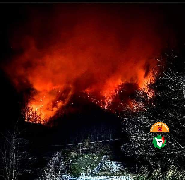 Pontito (PT), l'incendio è sotto controllo. A fuoco 20 ettari di bosco di castagno