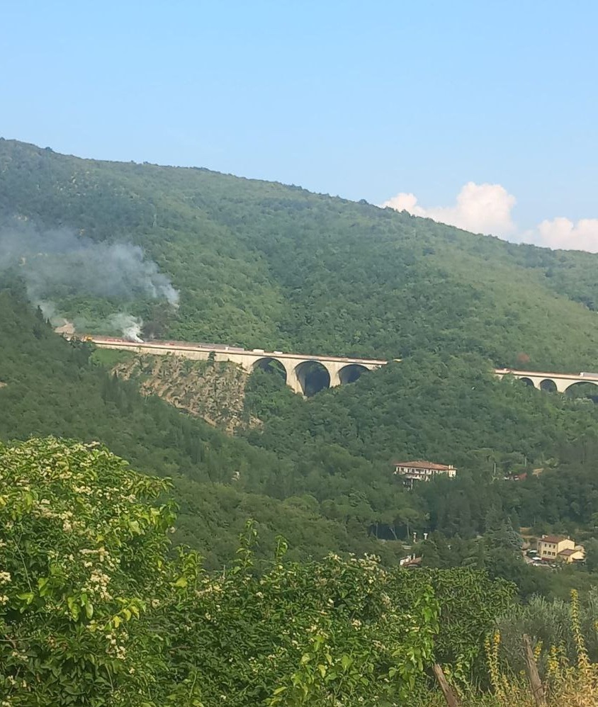 Incendio di un bosco ai margini dell'A1, in azione elicottero Aib della Regione