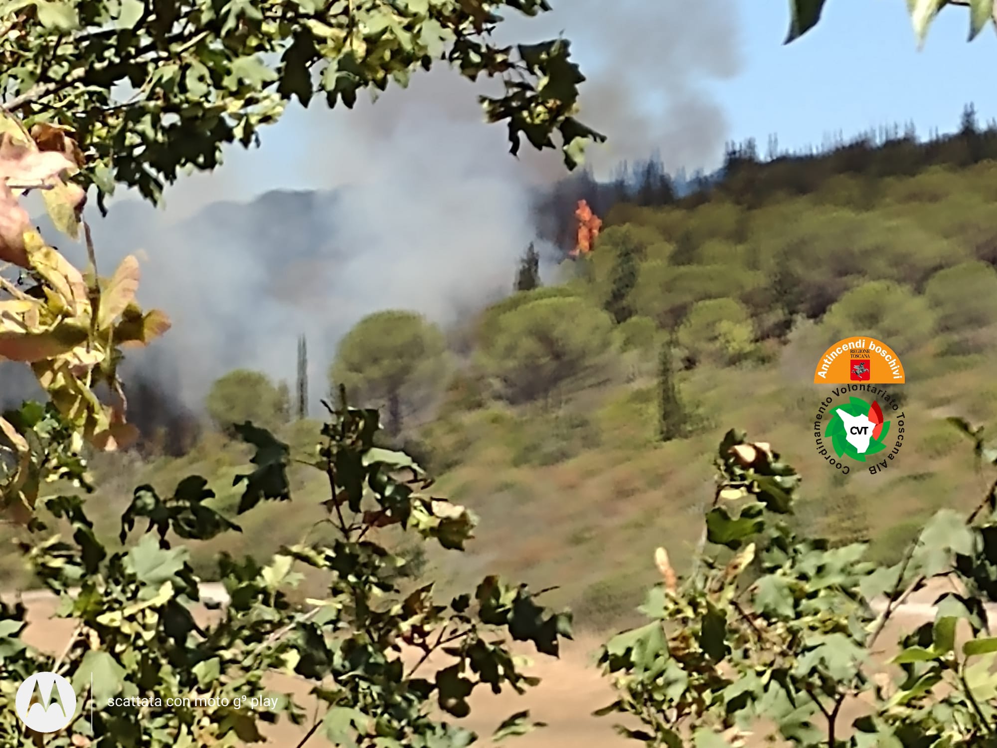 Incendio boschivo in località Meleto, Greve in Chianti (Firenze)